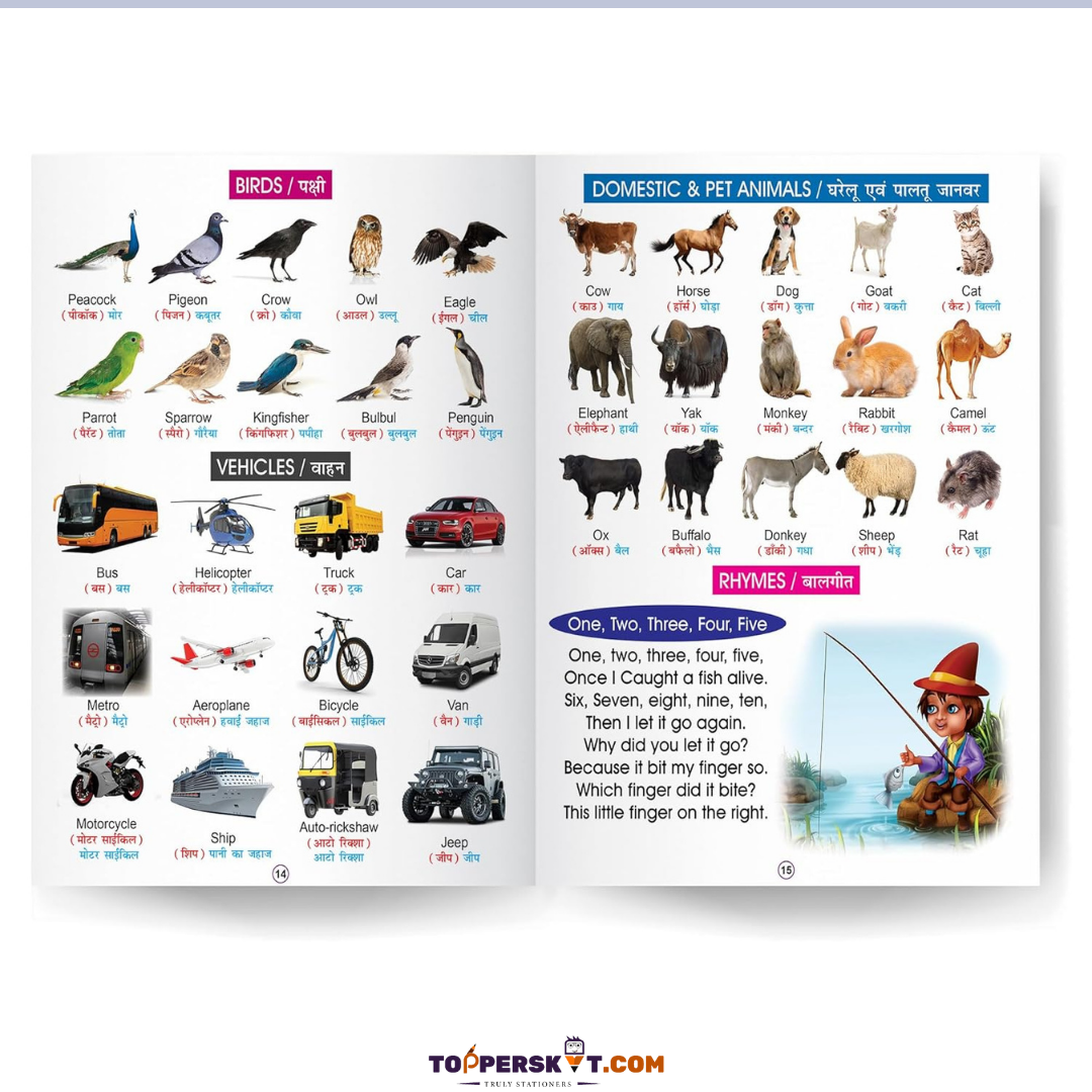 Ten-in-One Book (Pack of 1)
