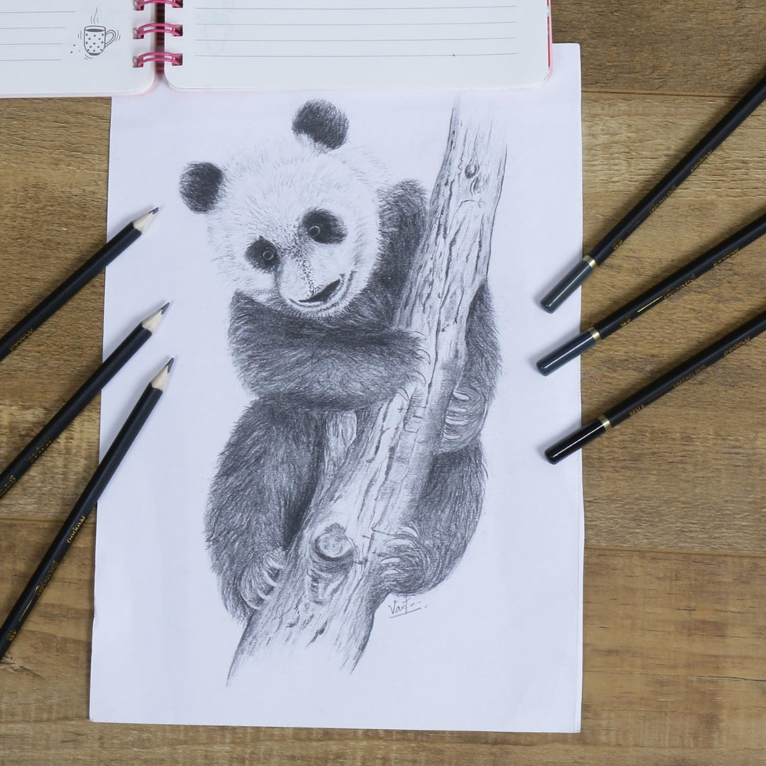 Maped Sketch Art Drawing Pencil -HB, 2B, 4B, 6B, 8B, 10B (Pack of 6 )