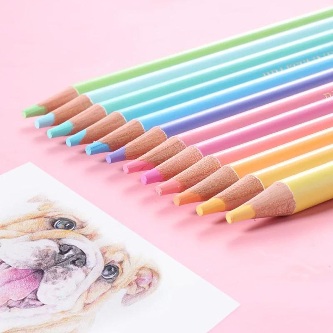 Vibrant Pastel Pencil Colours - Pack of 12 for Artistic Delight - Topperskit LLP