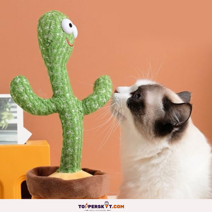 BigFun Toy Cactus - Interactive and Fun Plush Toy (Pack of 1)