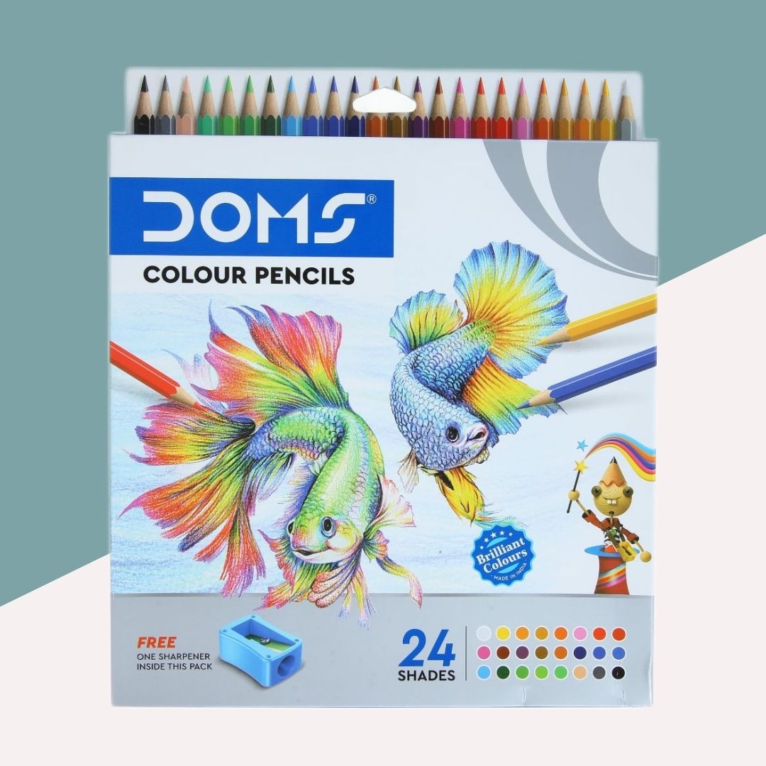 Doms Long Colour Pencils: Vibrant Shades ( Pack Of 24 ) - Topperskit LLP