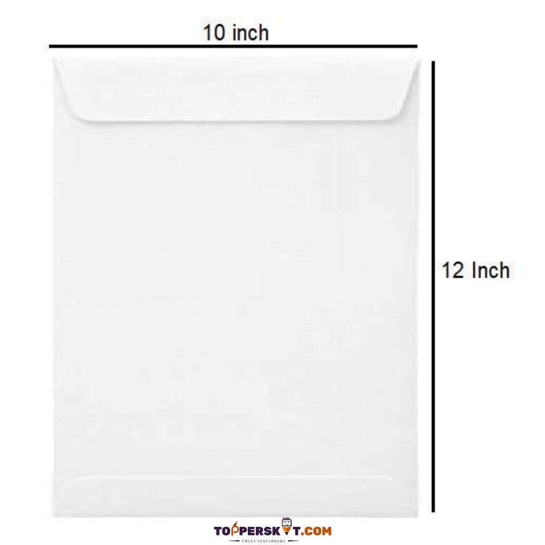 White Paper Envelope - A4 Size (Pack of 1)