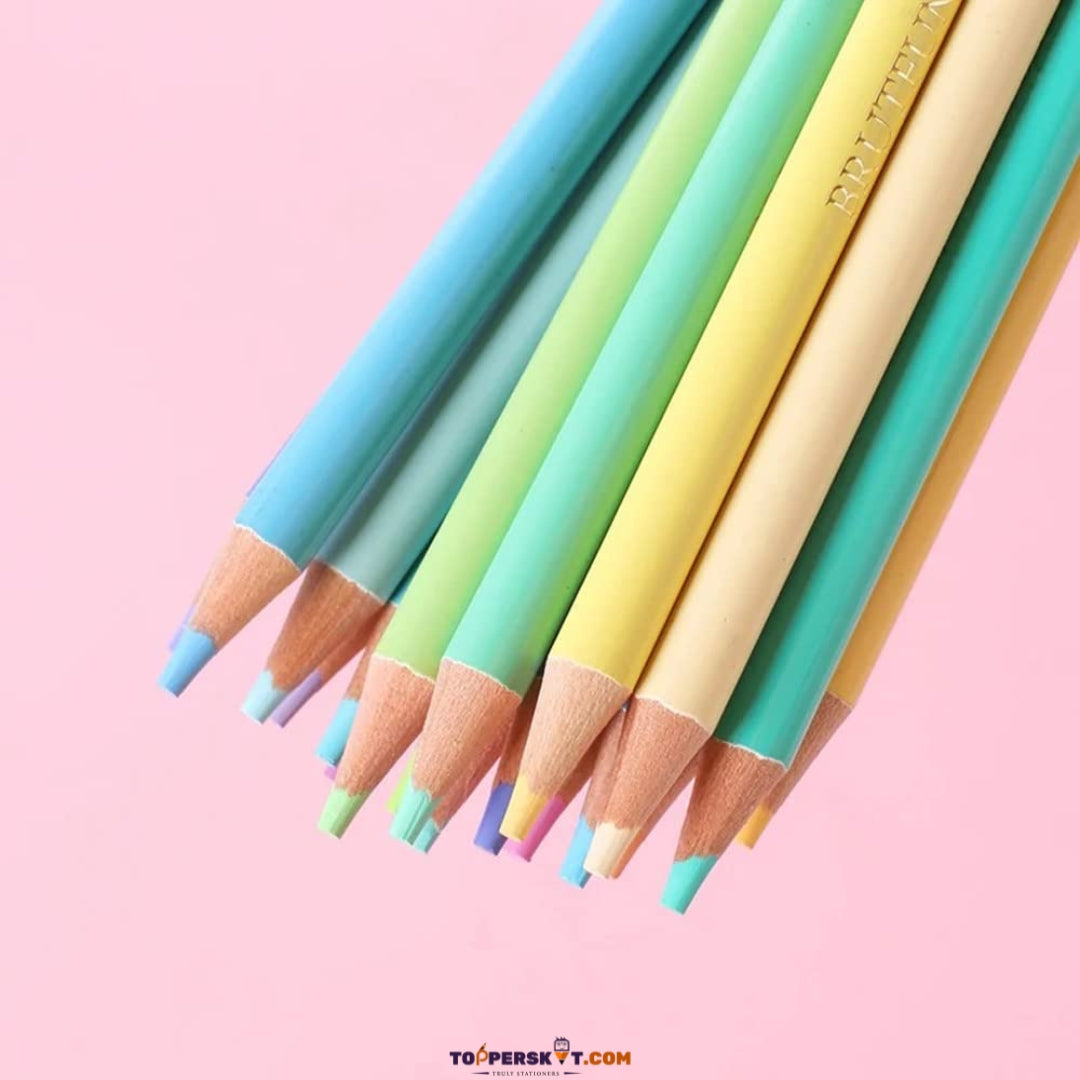 Vibrant Pastel Pencil Colors  Calidad Superior  - For Artistic Delight (Pack of 24)