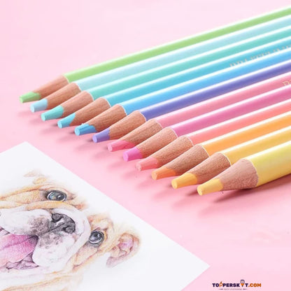 Vibrant Pastel Pencil Colors  Calidad Superior  - For Artistic Delight (Pack of 24)