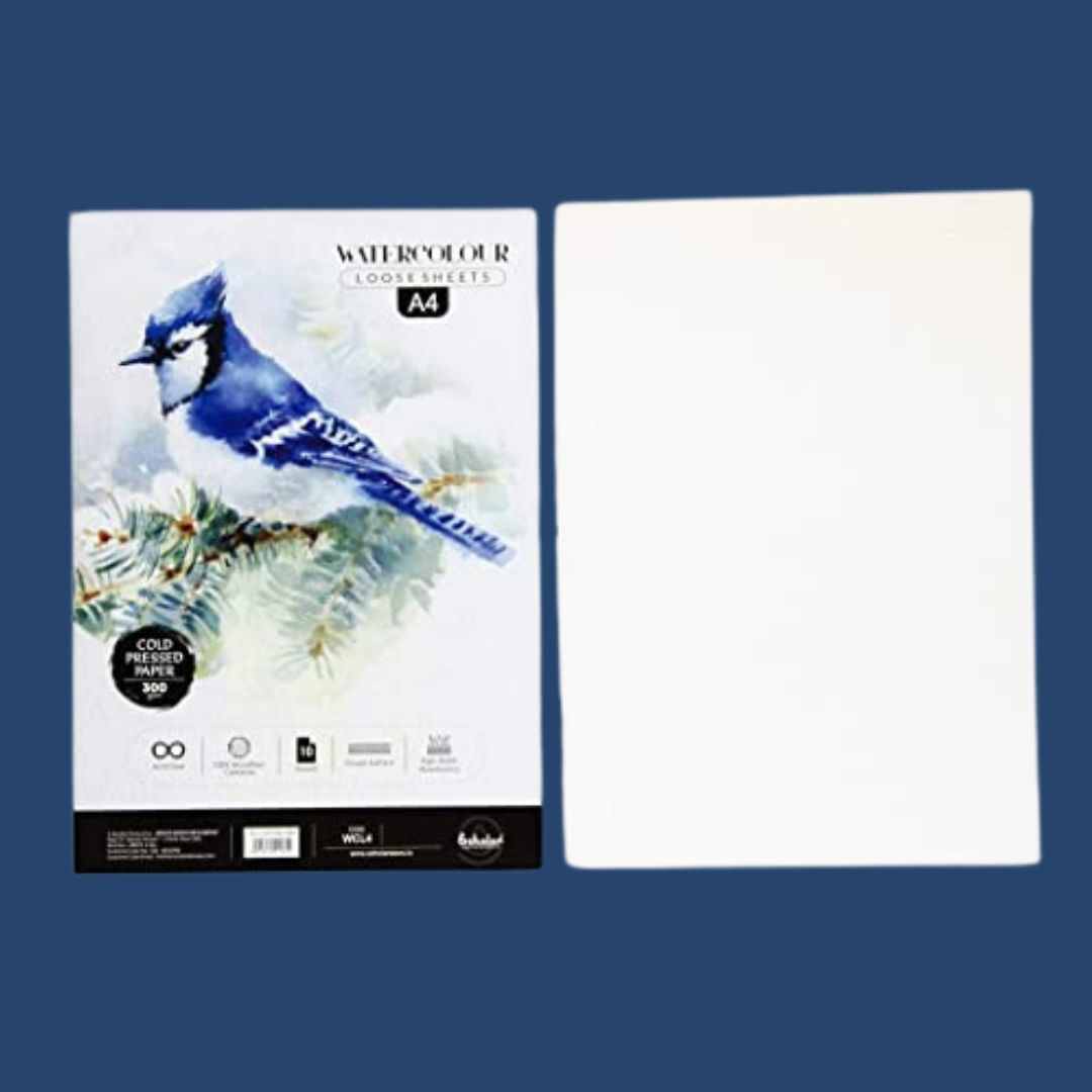 Scholar Water Colour Loose Sheet A4 - Cold Pressed 300 GSM (Pack of 10)