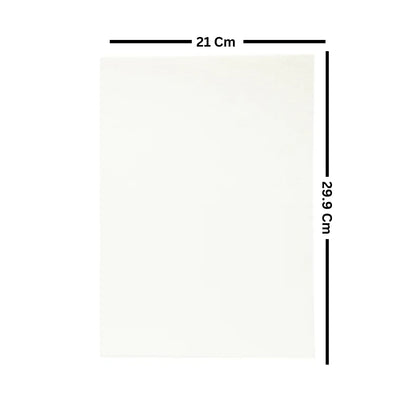 Scholar Water Colour Loose Sheet A4 - Cold Pressed 300 GSM (Pack of 10)